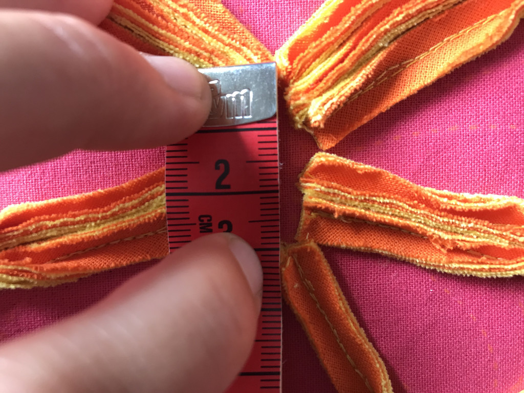 Measuring actual butterfly body height.